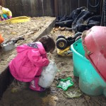 Daphne in the sandbox