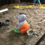 Reed in the sandbox